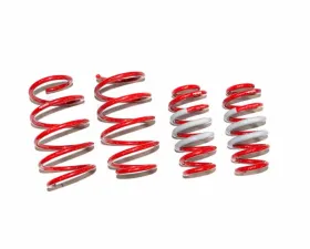 Tanabe NF210 Lowering Springs Lexus NT200T AWD 2015-2016