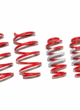 Tanabe NF210 Lowering Springs Lexus NT200T AWD 2015-2016                                     - TNF199 - Image 4