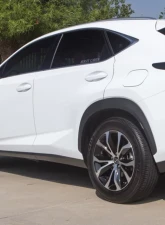 Tanabe NF210 Lowering Springs Lexus NT200T AWD 2015-2016                                     - TNF199 - Image 4