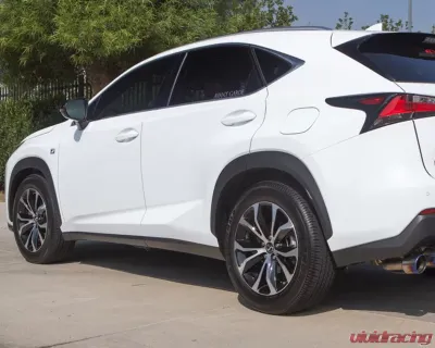 Tanabe NF210 Lowering Springs Lexus NT200T AWD 2015-2016 - TNF199