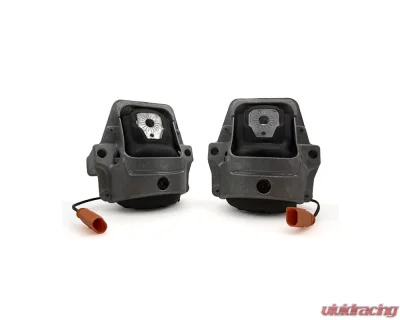 034 Motorsport Motor Mount, Track Density Line, B8/B8.5 Audi A4/S4, A5/S5, Q5/SQ5 3.0 TFSI & 3.2L FSI - 034-509-0048-SD