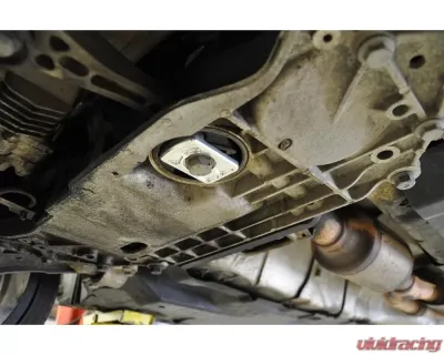 034 Motorsport Lower Dogbone Mount Insert - TSI - 034-509-1021