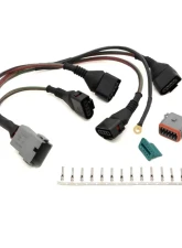 034 Motorsport Repair/Update Harness, Audi/Volkswagen 1.8T with 4-Wire Coils                                     - 034-701-0004 - Image 3
