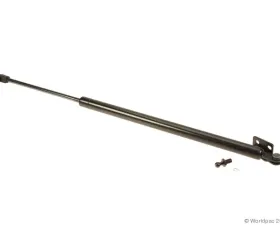 First Equipment Quality Hatch Lift Support Mazda MPV Right 2000-2004