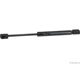 First Equipment Quality Trunk Lid Lift Support Ford Focus 2000-2004