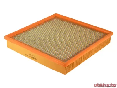 Full Air Filter - W0133-1706422
