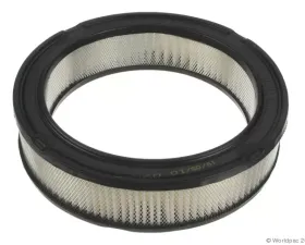 Interfil Air Filter Nissan