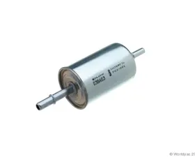 Interfil Fuel Filter Rear