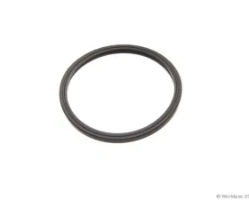 Ishino Stone Engine Coolant Thermostat Seal