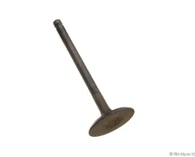 Nakamura Engine Intake Valve Nissan