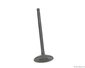 Nakamura Engine Intake Valve Subaru