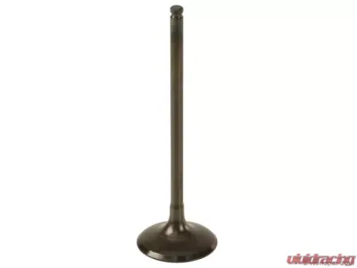 Nakamura Engine Intake Valve - W0133-1710391