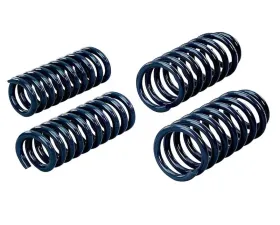 Hotchkis RT Sport Coil Springs Dodge Challenger 2009-2010