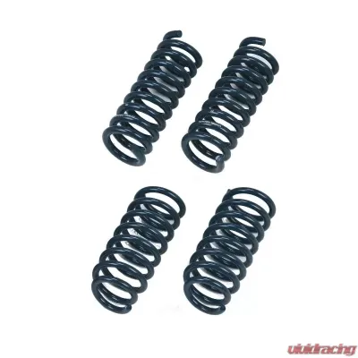 Hotchkis RT Sport Coil Springs Dodge Charger 2011+ - 19111
