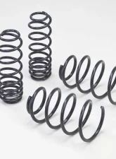 Hotchkis Lowering Springs Ford Mustang GT 5.0L 11-13                                     - 19391 - Image 2