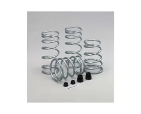 Hotchkis Sport Coil Springs Dodge Magnum 2wd 05-08