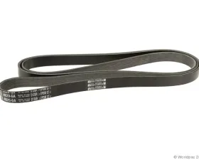Motorcraft Accessory Drive Belt Ford 