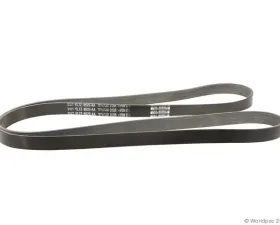 Motorcraft Accessory Drive Belt Primary