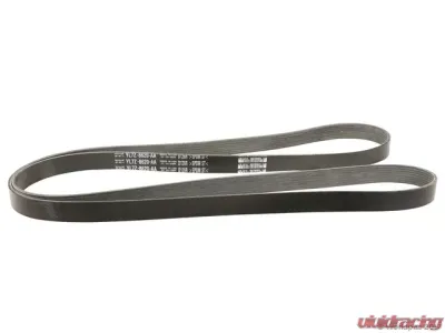 Motorcraft Accessory Drive Belt Primary - W0133-1622873