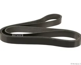 Motorcraft Accessory Drive Belt Ford Primary