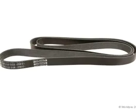 Motorcraft Accessory Drive Belt Ford Primary