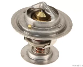 Motorcraft Engine Coolant Thermostat Ford
