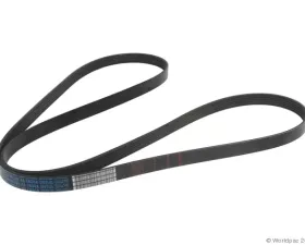 Motorcraft Accessory Drive Belt