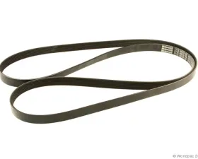 Motorcraft Accessory Drive Belt Ford