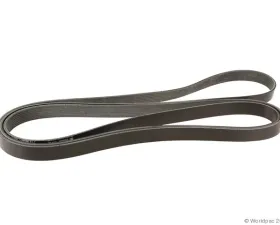 Motorcraft Accessory Drive Belt Ford 7.3L V8