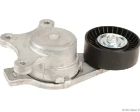 Motorcraft Drive Belt Tensioner Assembly