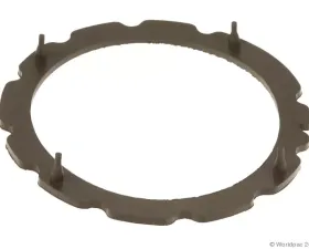 Motorcraft Fuel Pump Tank Seal