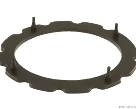 Motorcraft Fuel Pump Tank Seal