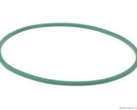 Motorcraft Fuel Pump Tank Seal