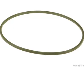 Motorcraft Fuel Pump Tank Seal