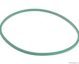 Motorcraft Fuel Pump Tank Seal