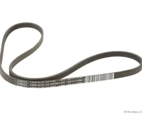 Motorcraft Accessory Drive Belt Ford