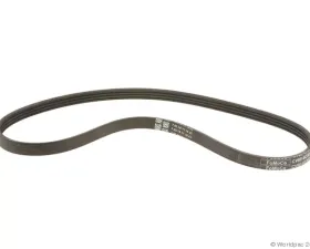 Motorcraft Accessory Drive Belt