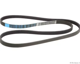 Motorcraft Accessory Drive Belt Ford