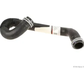 Motorcraft Radiator Coolant Hose Ford Lower