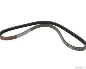 Motorcraft Accessory Drive Belt Compressor
