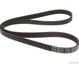 Motorcraft Accessory Drive Belt Alternator and Water Pump