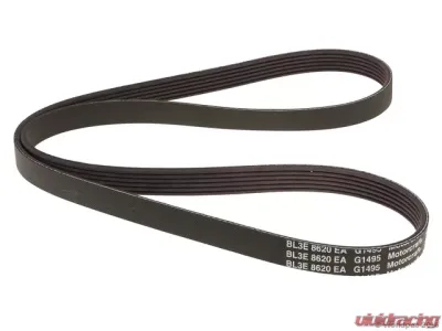 Motorcraft Accessory Drive Belt Alternator and Water Pump - W0133-1998722