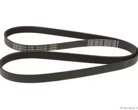 Motorcraft Accessory Drive Belt Ford F-150 Alternator and Water Pump 2011-2019 5.0L V8