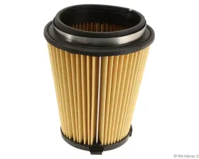 Motorcraft Air Filter Ford Mustang 2015-2017 5.2L V8