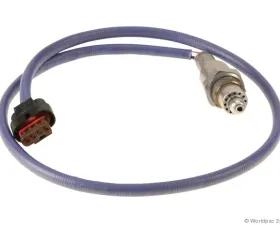 Motorcraft Oxygen Sensor Ford Rear 1.0L 3-Cyl