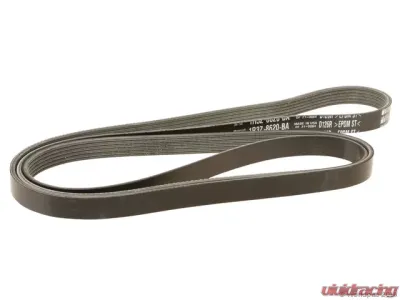 Motorcraft Accessory Drive Belt Ford Mustang 2000-2004 - W0133-2202382