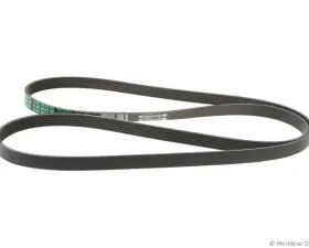 Motorcraft Accessory Drive Belt