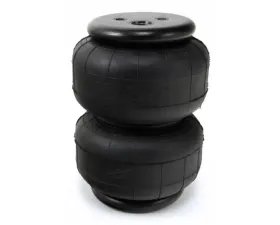 Air Lift Performance Gen IV Dominator Series D2500