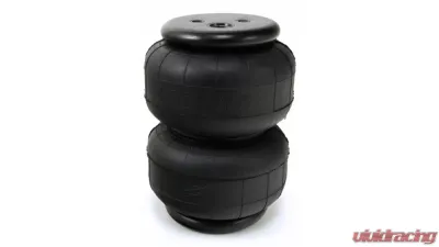 Air Lift Performance Gen IV Dominator Series D2500 - 58343
