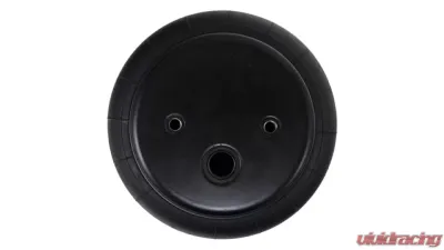 Air Lift Performance Gen IV Dominator Series D2600 - 58616